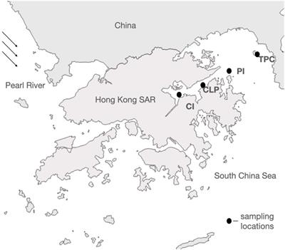 Multifunctionality of an Urbanized Coastal Marine Ecosystem